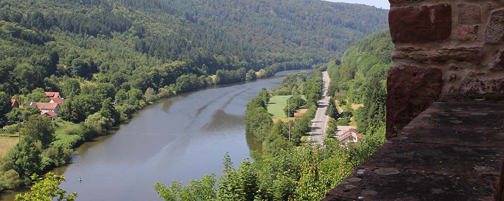 Der Neckar in Zwingenberg